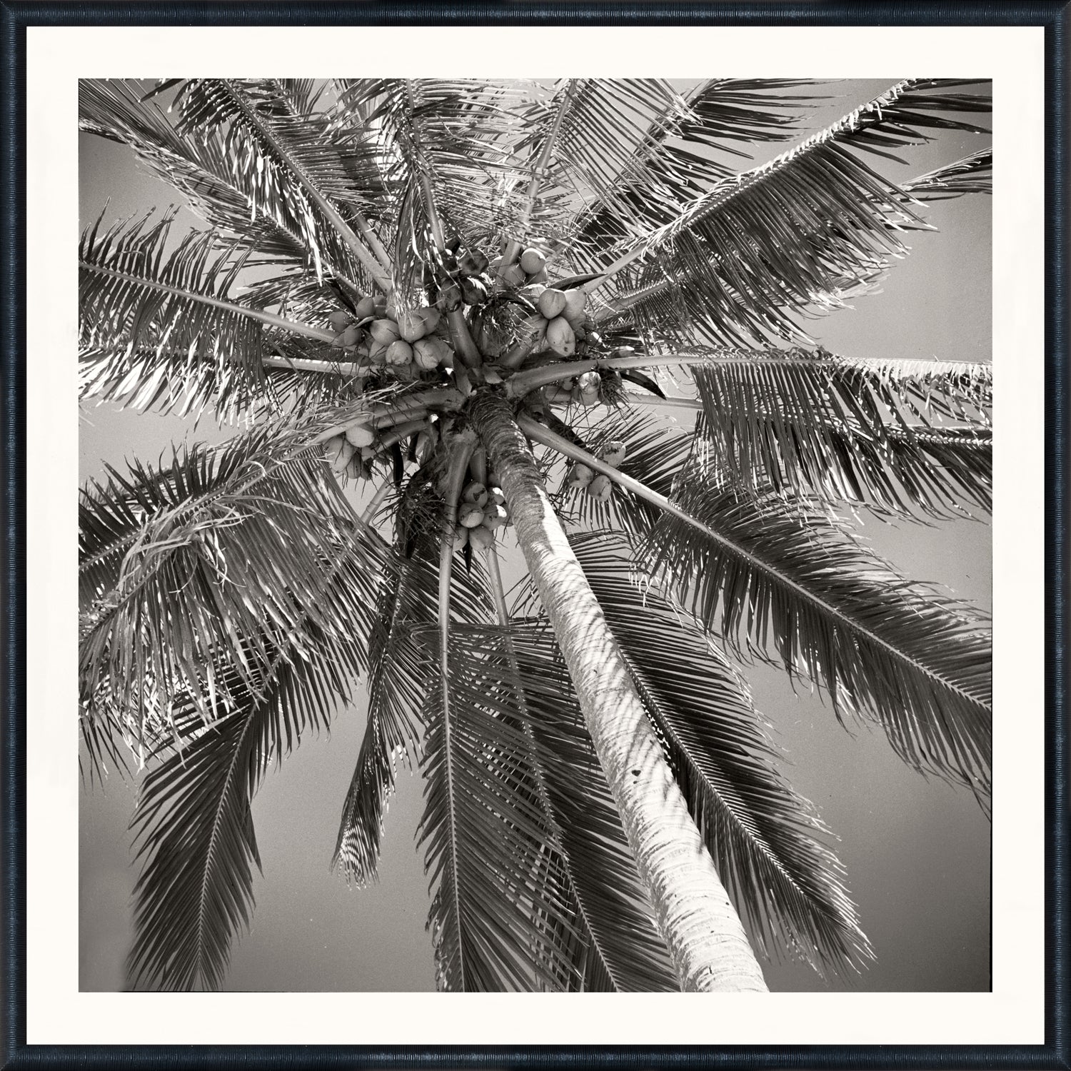 front view of NOSTALGIA COLLECTION – PALM TREE C. 1959 luxury Artwork