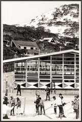 41 × 61 in
