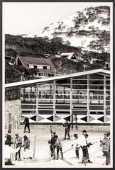 29 × 43 in