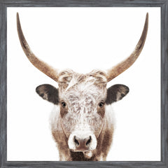 22 × 22 po – Cadre Gris