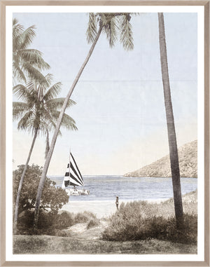 Catamaran framed art print