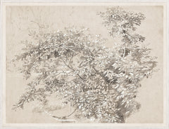 39,25 × 51,25 po