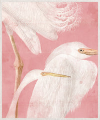 92.08 × 109.86 cm – Enmarcado con cristal