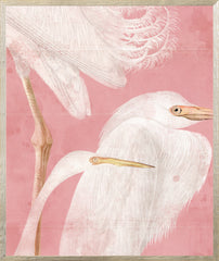 21 × 25 pulg. – Con marco de vidrio
