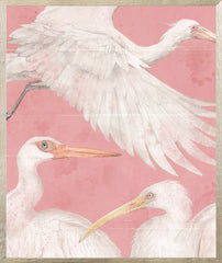 21 × 25 pulg. – Enmarcado en cristal