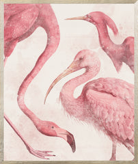 21 × 25 in – Enmarcado en cristal