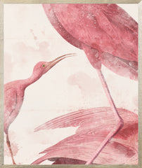 21 × 25 pulg. – Enmarcado en cristal