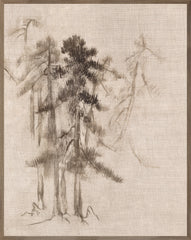 31 × 39 po