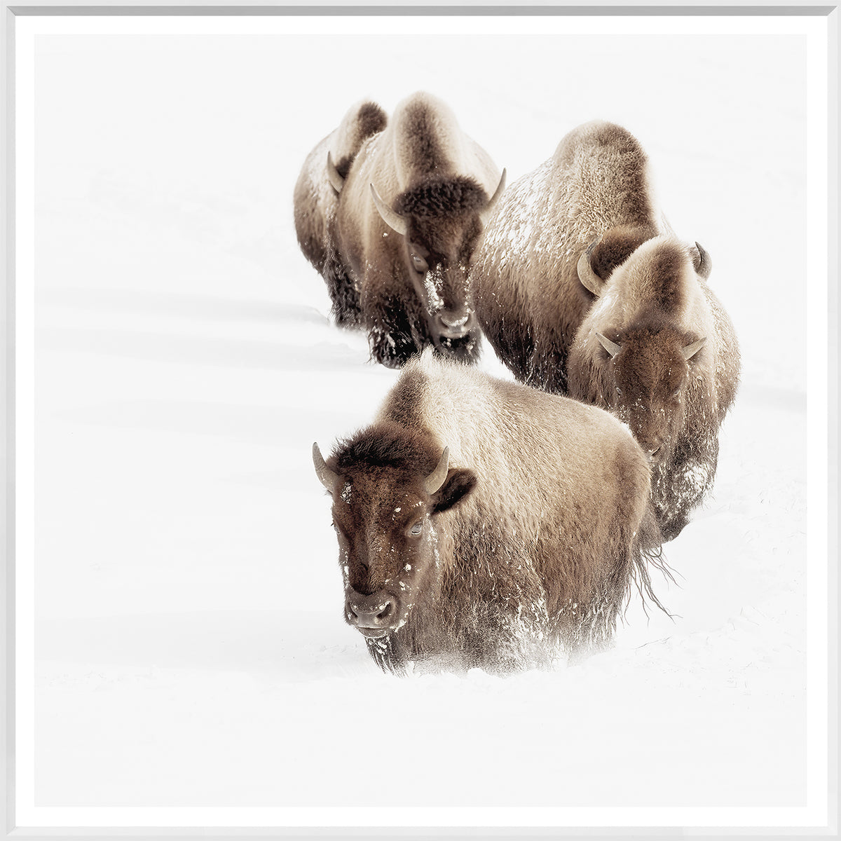 front view of Buffalo Trail luxury Artwork