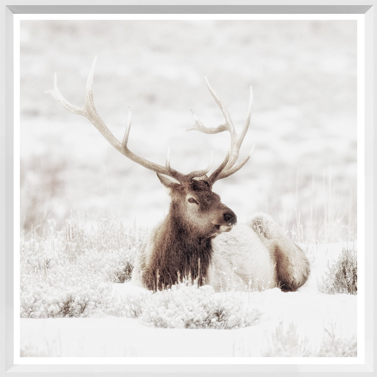 front view of Bull Elk In Winter luxury Artwork