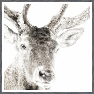 Celtic Myth — nature and landscape fine art print shown from another angle