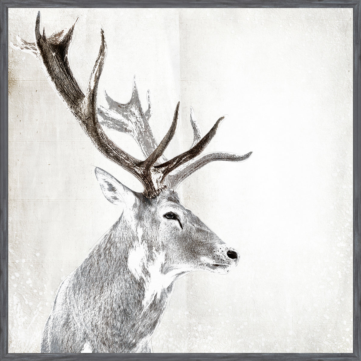Stag Portrait