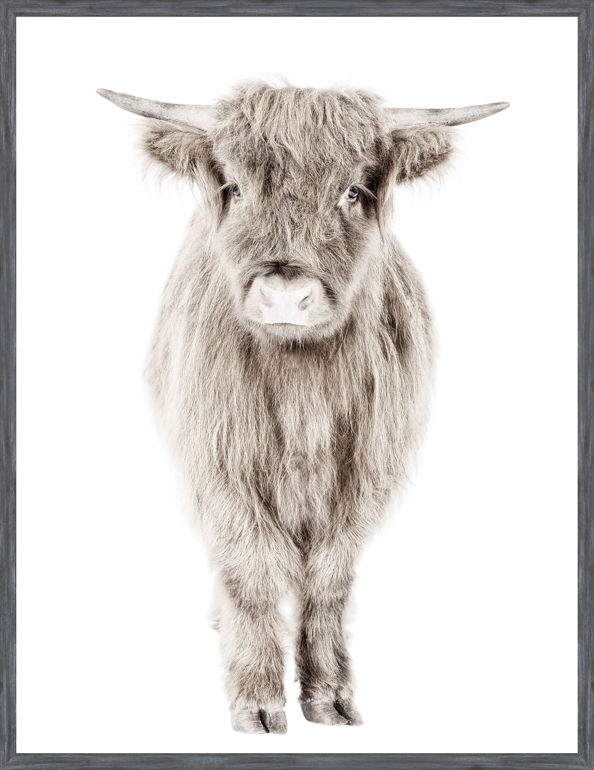Veau Highland