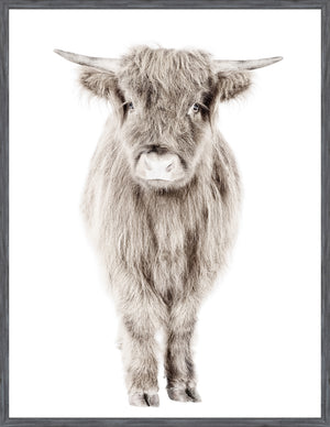 Veau Highland