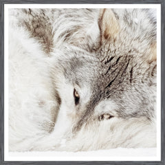 38 × 38 in – Grey Frame