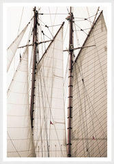 27.25 × 39.25 in