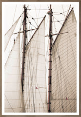 27 × 39 in