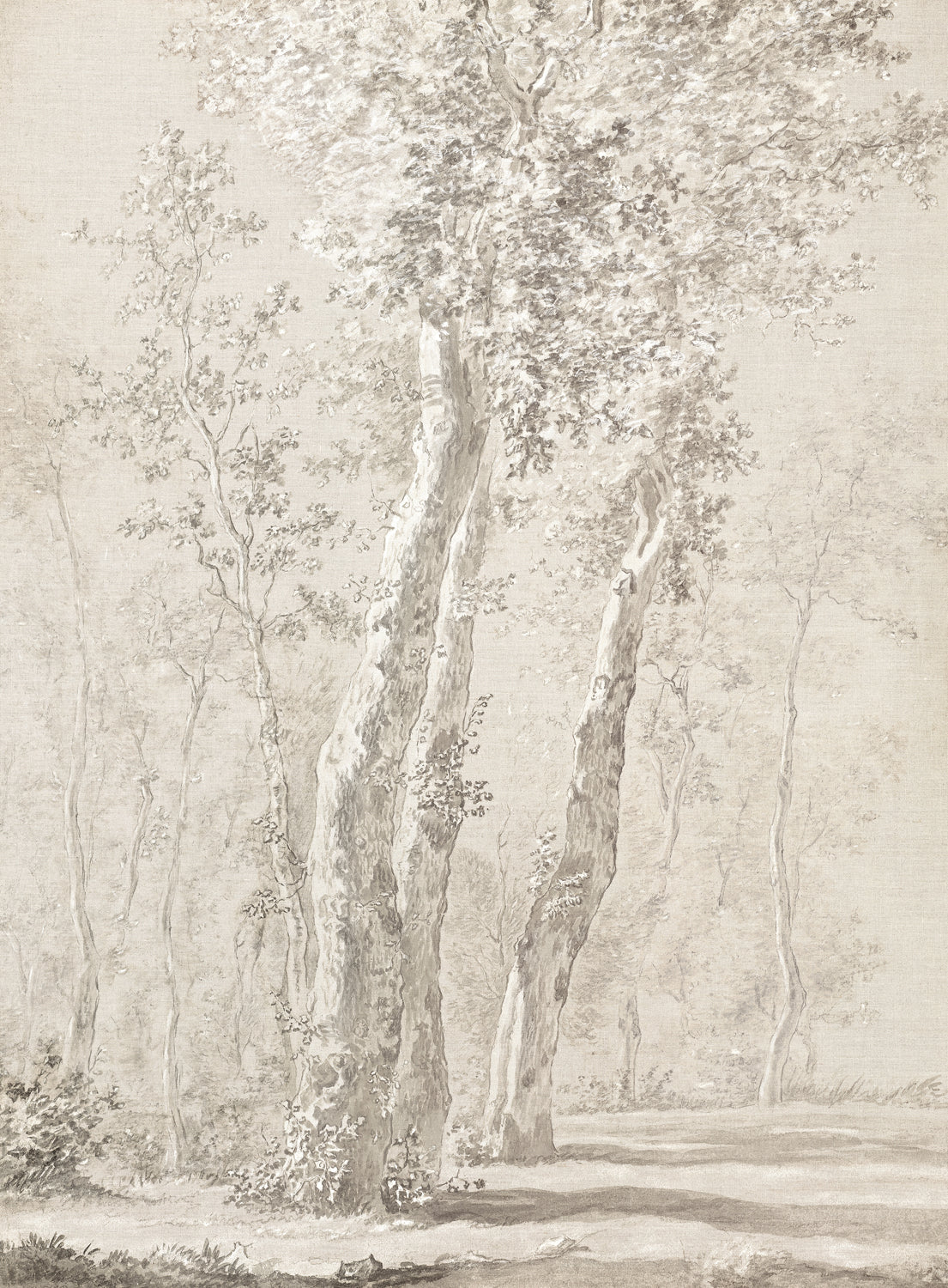 Árboles iluminados por el sol c. 1822
