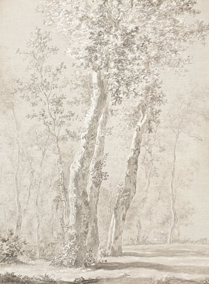 Árboles iluminados por el sol c. 1822