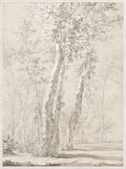 35.25 × 47.25 in – Glass Framed