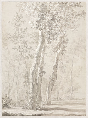 Árboles iluminados por el sol c. 1822