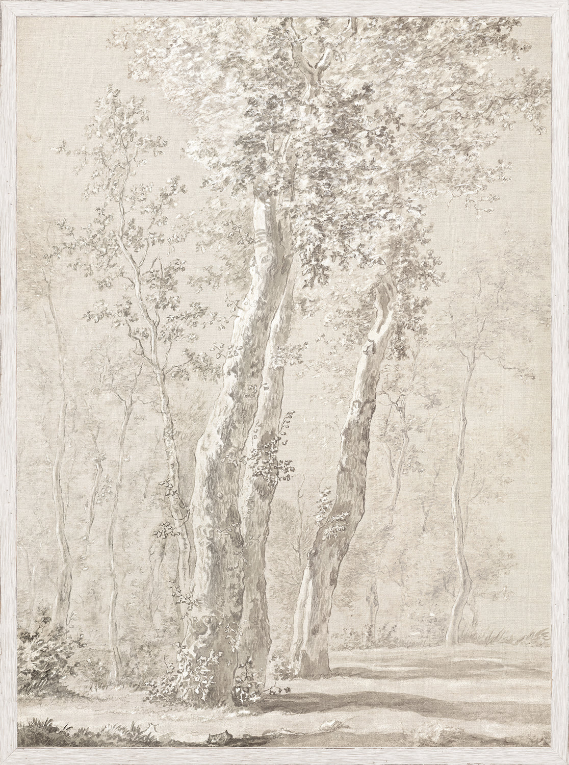 Árboles iluminados por el sol c. 1822