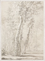 23.25 × 31.25 in – Glass Framed