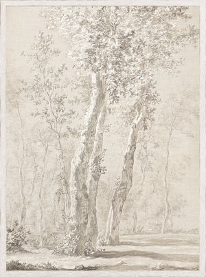 Árboles iluminados por el sol c. 1822