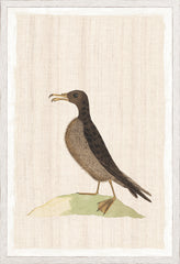 17.25 × 25.25 in