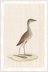 37,25 × 55,25 po
