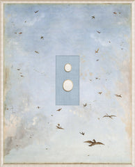 VII – 16,75 × 20,75 po