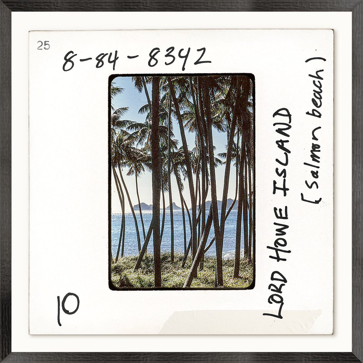 Toni Frissell Slides – Lord Howe Island, Salmon Beach C. 1960, featuring palm trees and ocean view