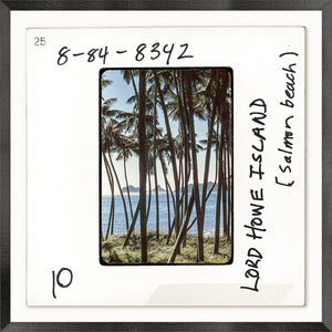 Toni Frissell Slides – Lord Howe Island, Salmon Beach C. 1960, featuring palm trees and ocean view