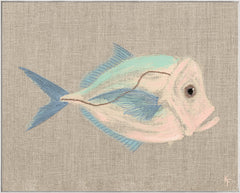 41 × 51 po – Toile encadrée
