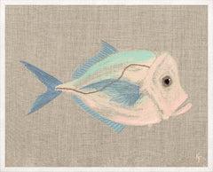 17 × 21 po – Encadré sous verre