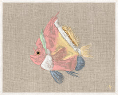 43 × 53 cm – Encadré sous verre