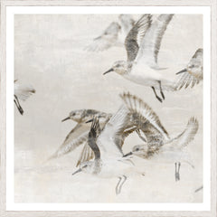 25.25 × 25.25 pulg.