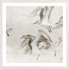 17 × 17 pulg.