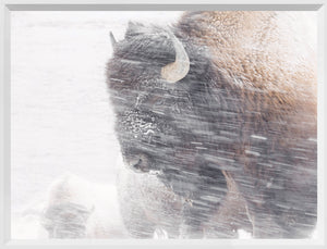 Snow Squall — nature and landscape fine art print shown from another angle
