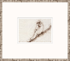 15 × 13 in – Enmarcado en cristal