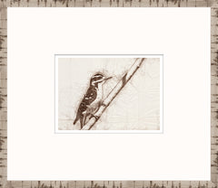 15 × 13 pulgadas – Enmarcado en cristal