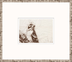 15 × 13 pulgadas – Enmarcado en cristal