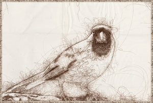 Nature Sketch – Cardinal I, a detailed sketch of a cardinal bird in brown tones on a light background.