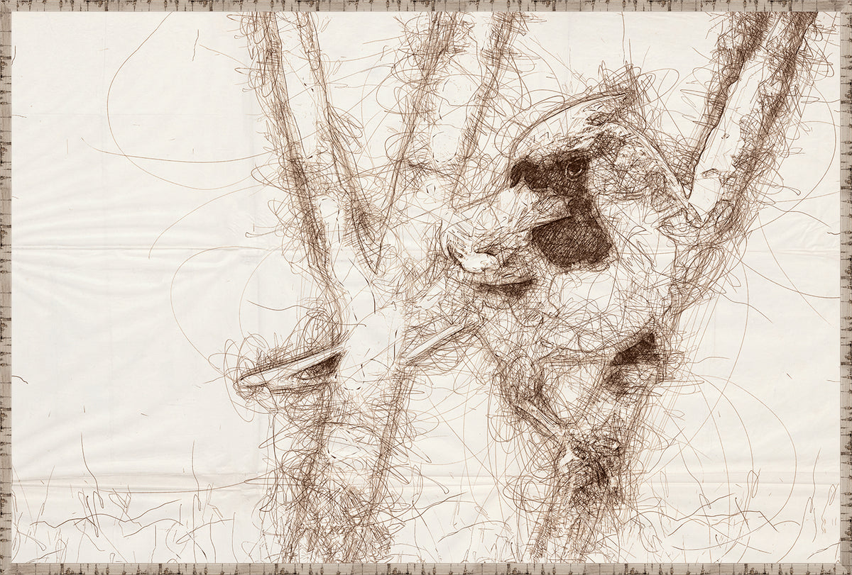 Nature Sketch – Cardinal II wall art featuring a detailed sketch of a cardinal among branches.