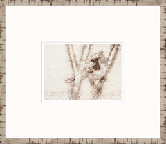 15 × 13 pulg – Enmarcado en cristal