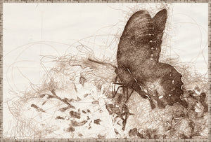 Nature Sketch – Butterfly wall art featuring a detailed brown sketch of a butterfly on a light background.
