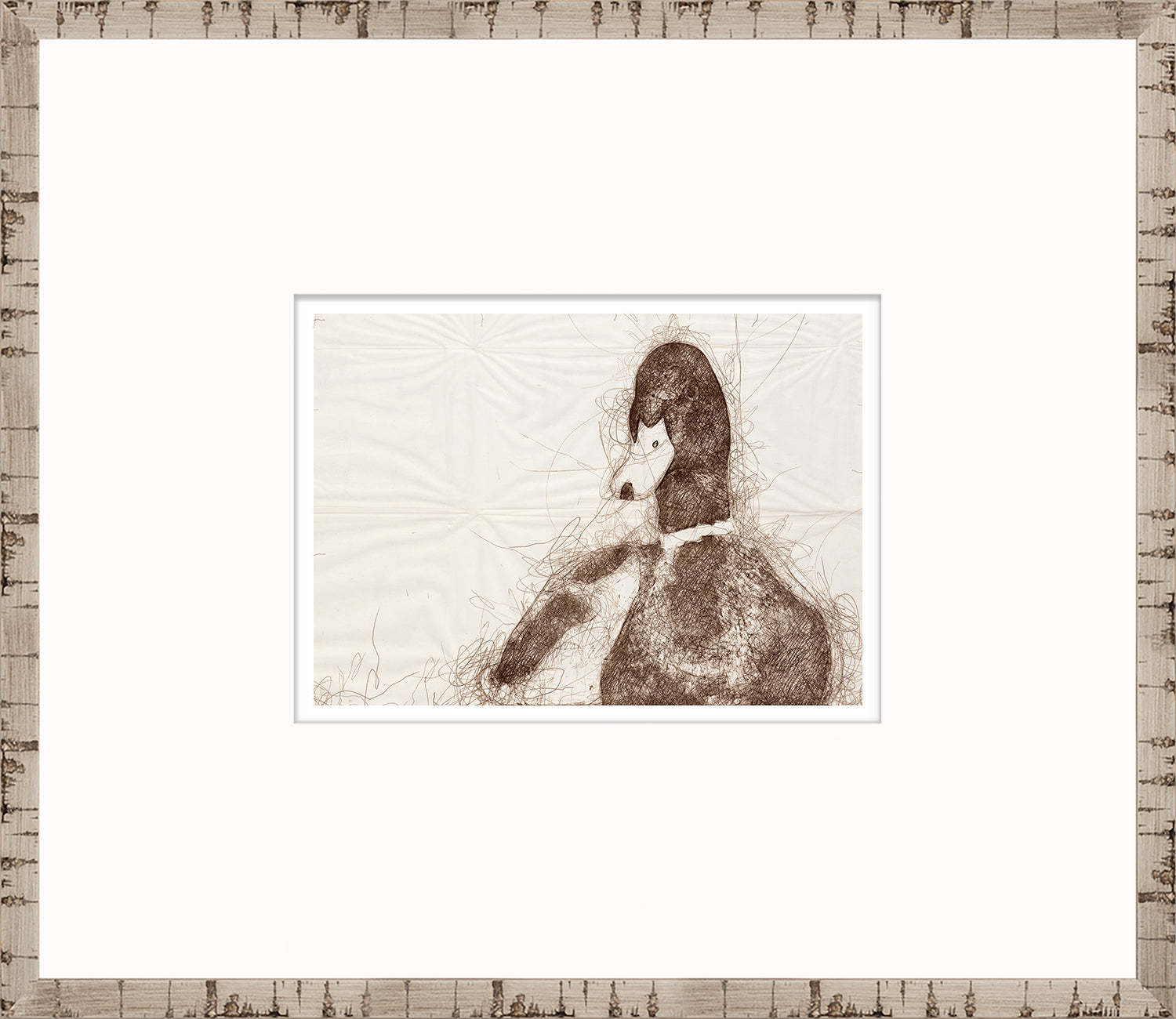 Nature Sketch – Duck