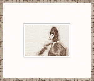 Nature Sketch – Duck