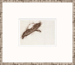 15 × 13 in – Glass Framed