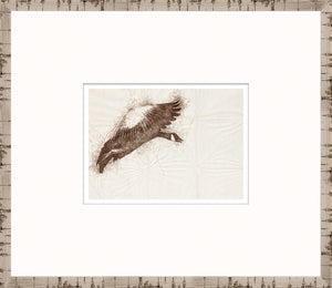 Boceto de la naturaleza – Ganso en vuelo